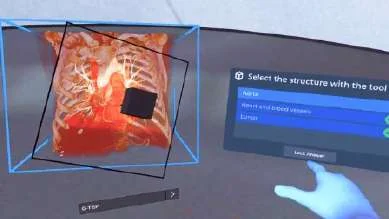 Structure selection in the VR interface